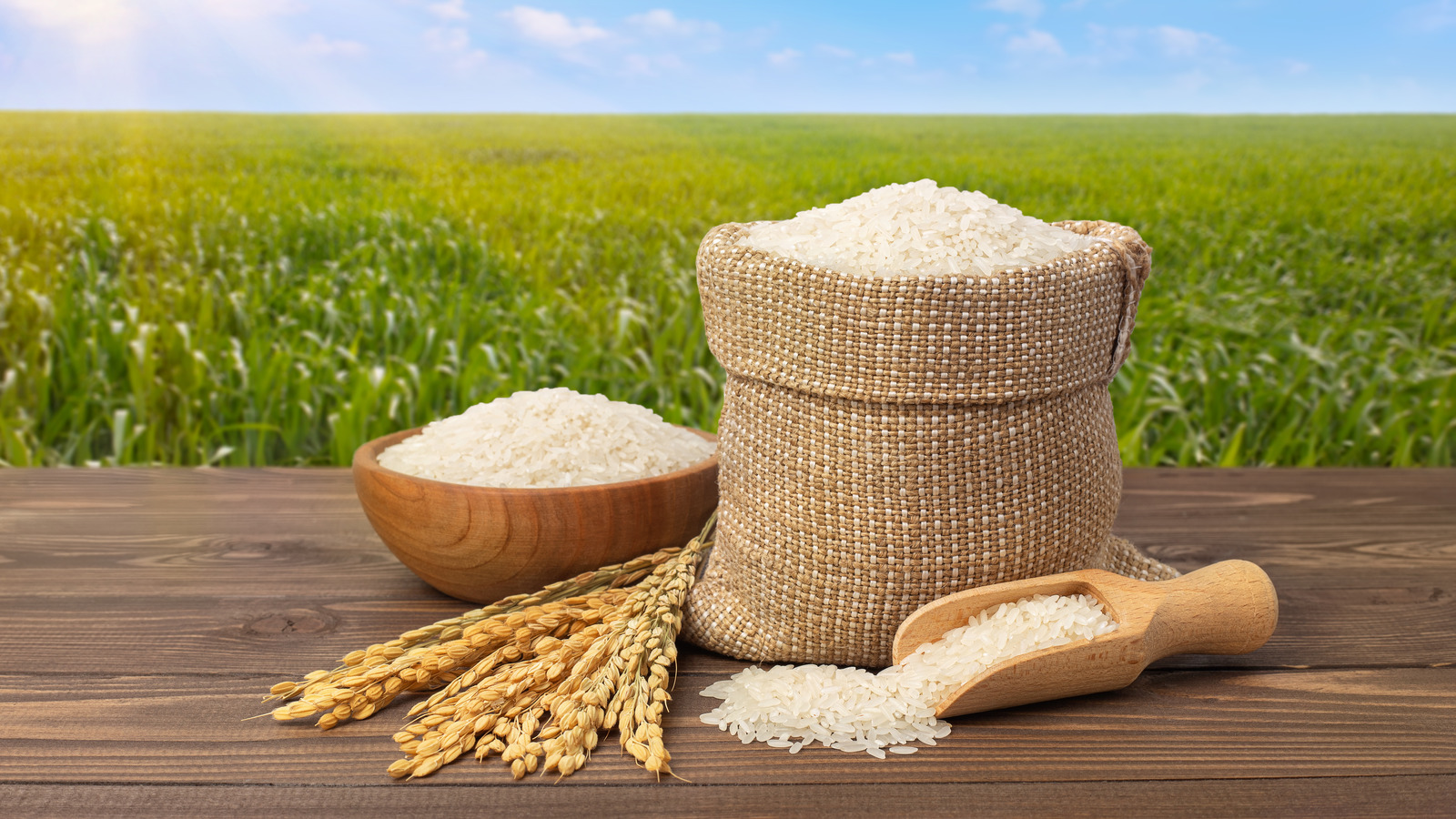 Rice and Grains